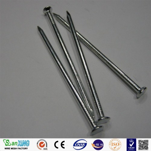 Galvanized Common Nail black common iron nail hot selling Supplier