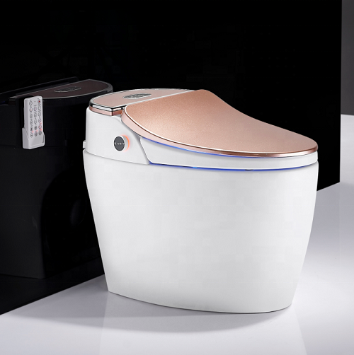 Nuovo gabinetto con bidet un pezzo intelligente acqua rosa oro gabinetto intelligente