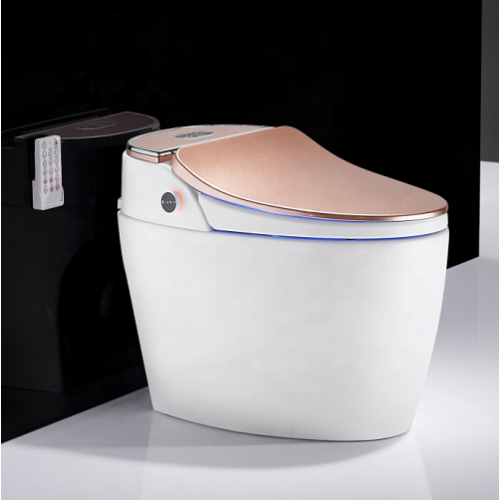 Toilet And Matching Bidet Intelligent Water Closed Rose Gold Toilet