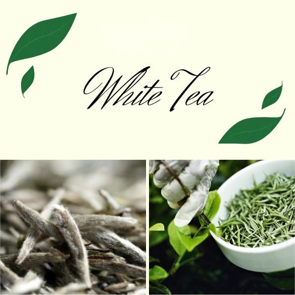 White Tea Extract (6)