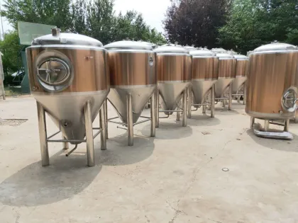 Craft Beer Production Line Craft Beer Brewing Equipment