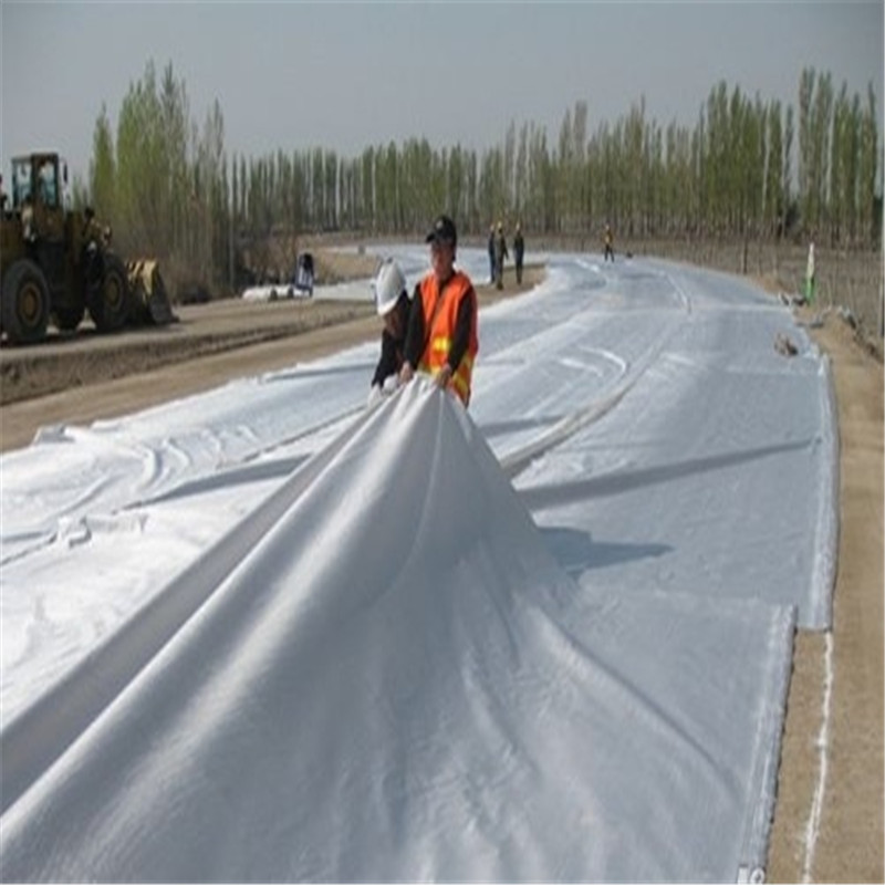 Nonwoven Geotextile 06