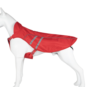 Customized Protection Dog Clothes and Accessories for All Seasons