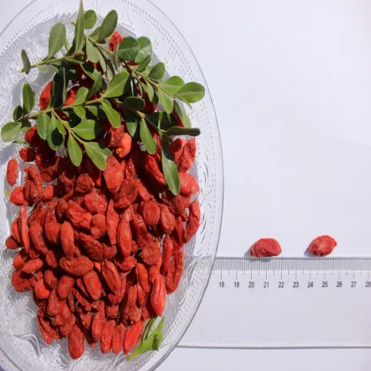 Natural Low Price Free Sample Dried wolfberry