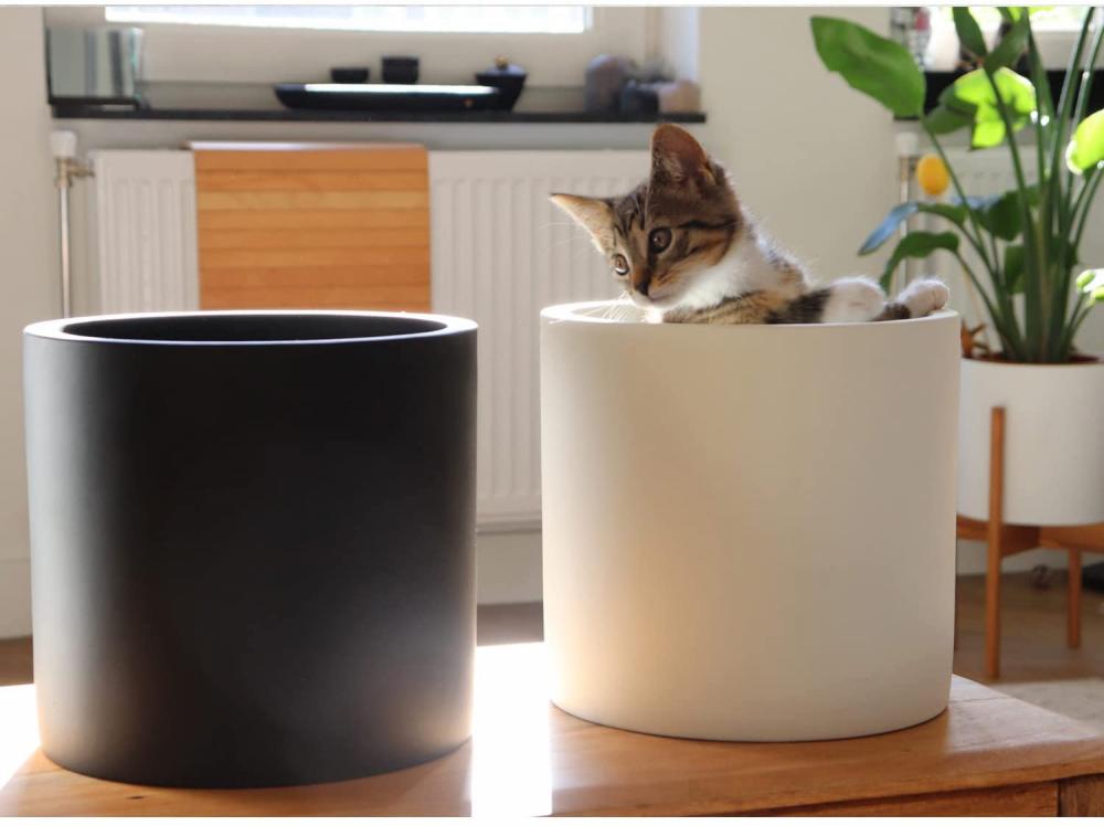 Large Plant Pot for Living Room