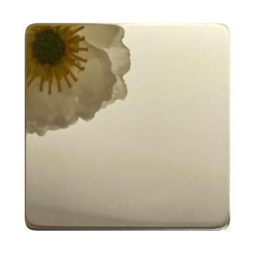 Revestimento colorido em aço inoxidável 10