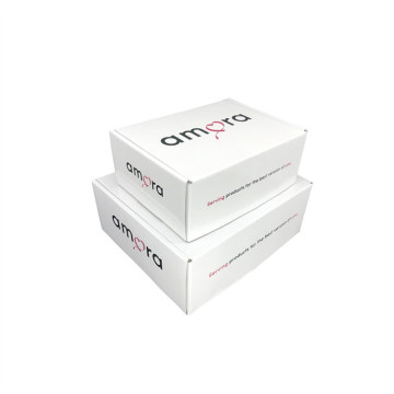 Eco-Friendly Custom Logo Luxury Shoe Gift Box Packaging & Cosmetic Corrugated Mailer Boxes for Shipping