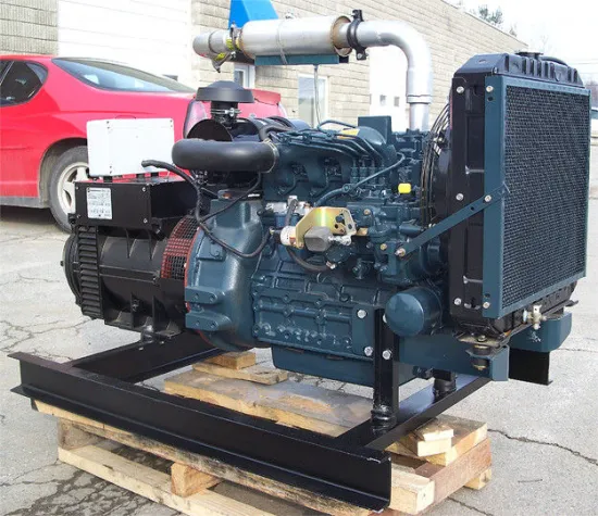 D1703-e2bg V2203-e2bg Rotation Magnet Kubota Diesel Generator