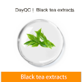 Extrato instantâneo de chá preto em pó preto