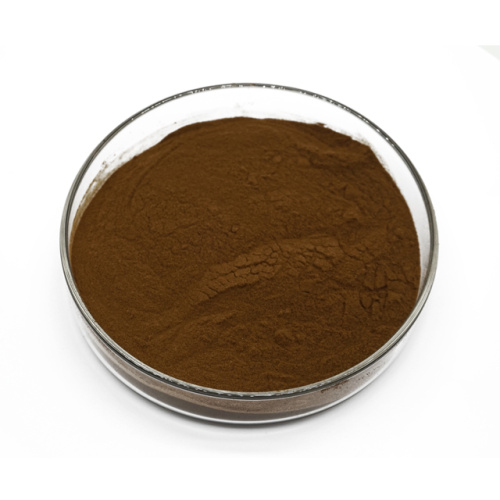 Ginkgo biloba extract powder for sale