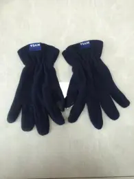 Touch Screen  Polar Fleece Adult Winter Gloves