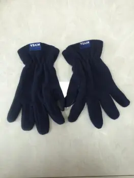 Touch Screen  Polar Fleece Adult Winter Gloves