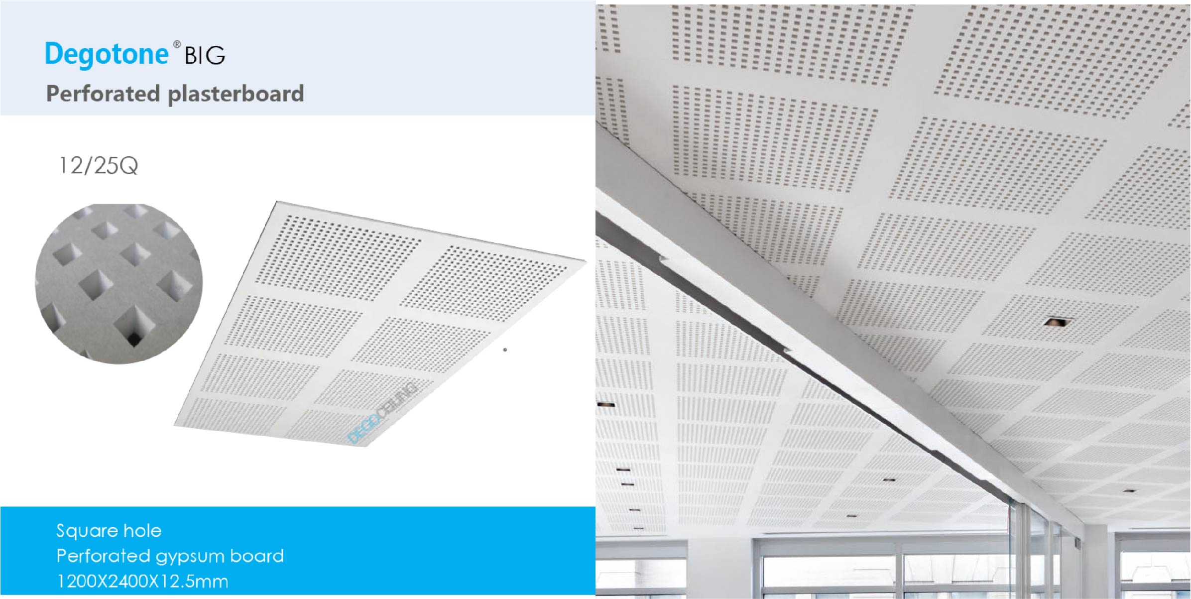 Gypsum board