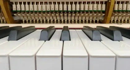 Professional grading piano for sale