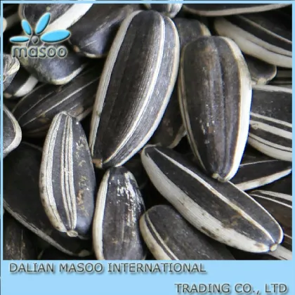 Sunflower Seeds - National Brand