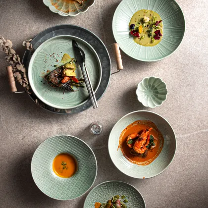 Wholesale Unique Shape Porcelain Dinnerware for Seafood Dishes