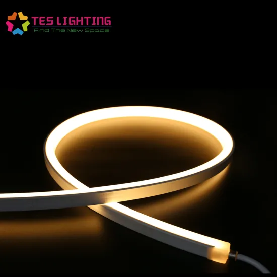 Neon led strip lights 24 volt waterproof