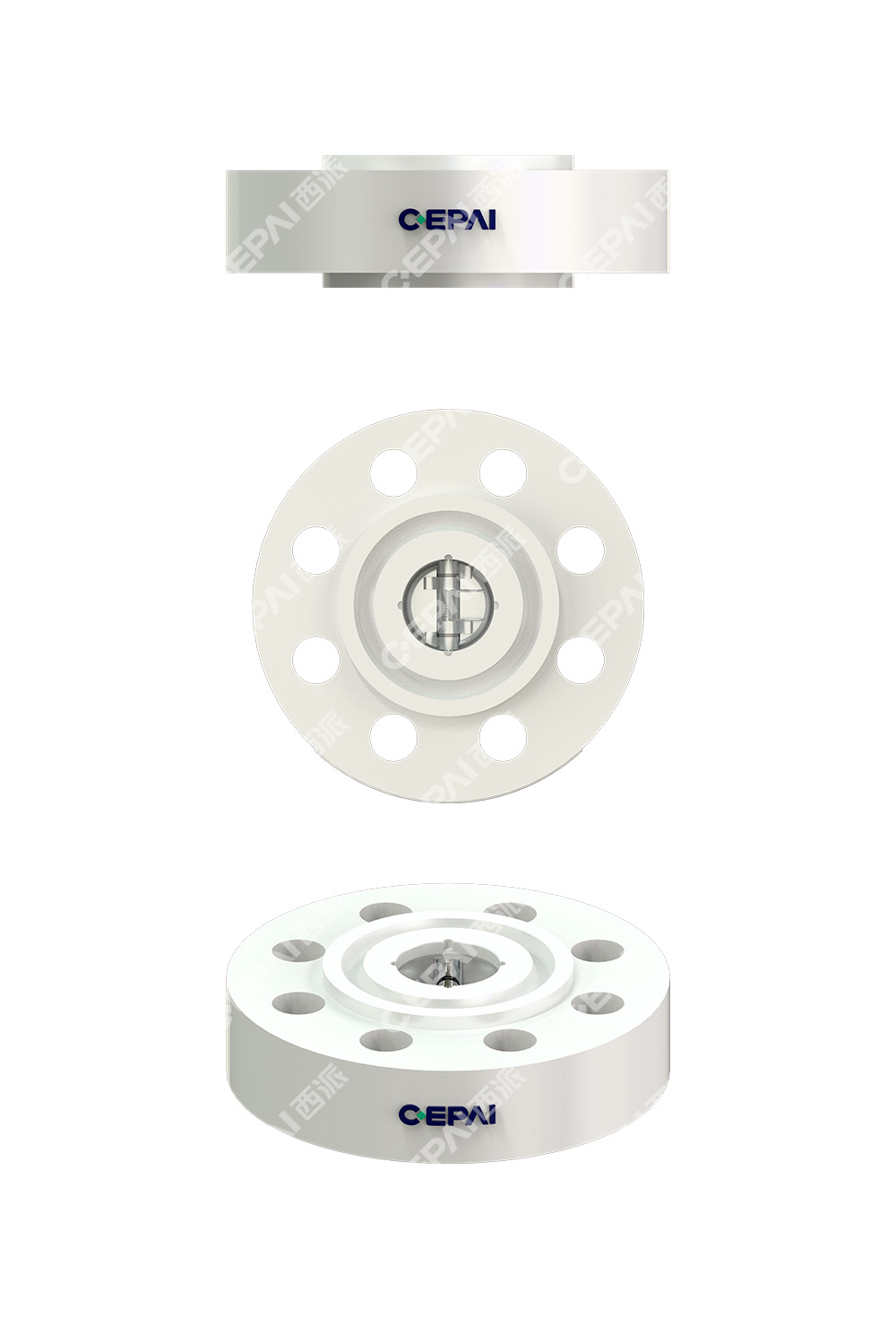 Dual Plate Check Valve1-1