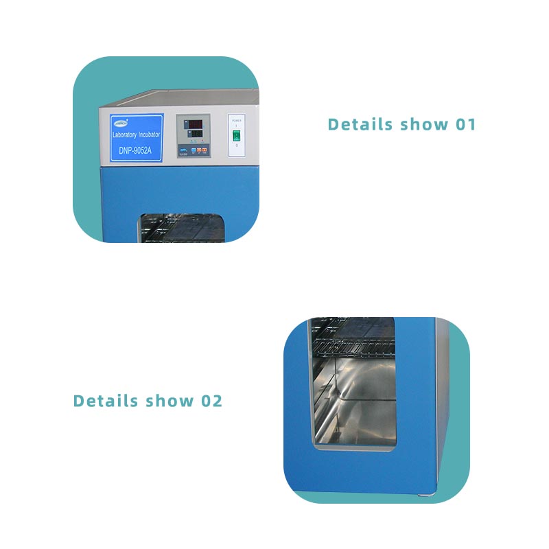 DNP9052A Intelligent constant temperature incubator China Manufacturer
