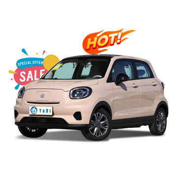 2024 Hot Sale Leap Motor T03 5 도어 4 좌석 미니 전기 자동차