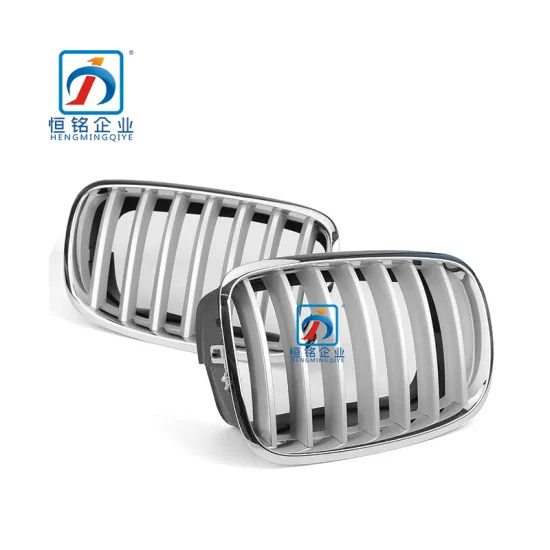 BMW X5 E70 Glossy Silver Front Bumper Grill Upper Grille 51137185223