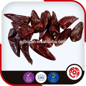 dried chili pepper chilli pepper