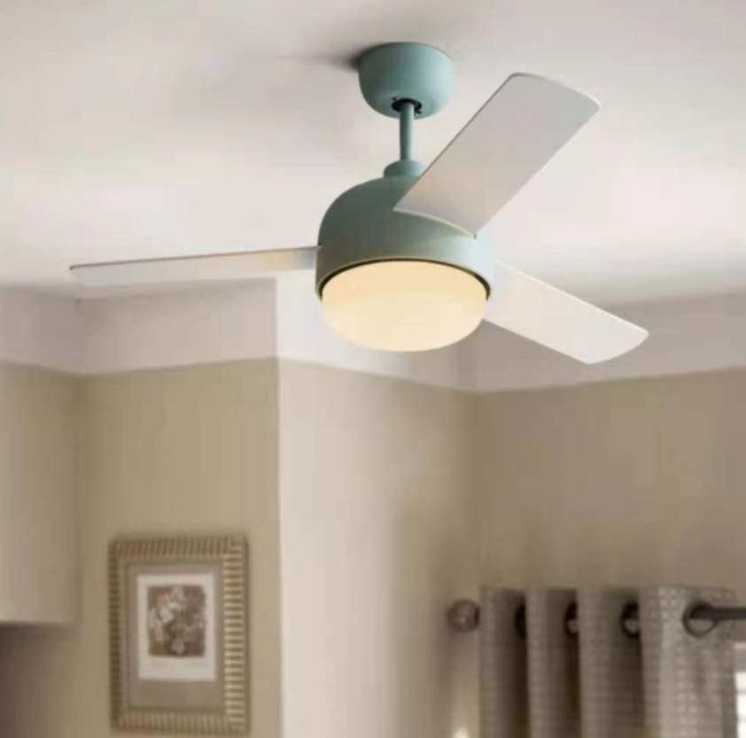 Fan lamp with lighting and cooling function