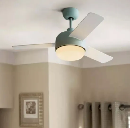 Fan lamp with lighting and cooling function