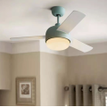 Fan lamp with lighting and cooling function