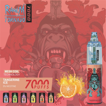 Authentic RandM Tornado Vapes 7000 Puffs