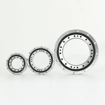 SHF 50 Harmonic Reducer Bearing