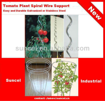 Tomato Support
