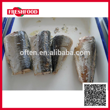 Canned fish factory canned mackerel fish canned jack mackerel in brine