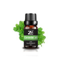 Coriander Essential Oil Private Label Custom Improve Memory