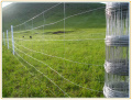 Uzun ömürlü sabit düğüm dokuma tel çit