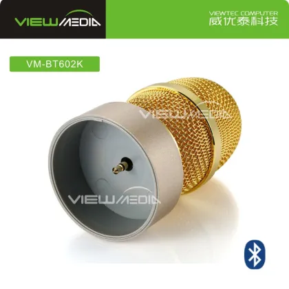 2017 Viewtec BT602 K Song Bluetooth Speaker