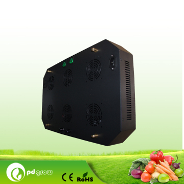Heißes Saled und bester Preis 600w LED wachsen Licht, Orchidee-Betriebskindertagesstätte, hydroponische Erdbeeren, Kirschpfeffer, Garten equiment