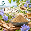 Extrato de chicória para formulações de suplementos dietéticos