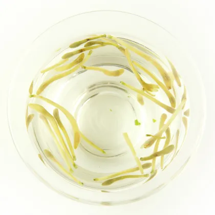 Detoxification Of Honeysuckle Tea