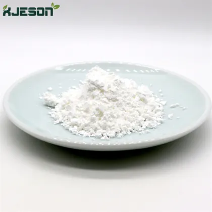 Organic pumpkin protein seed powder