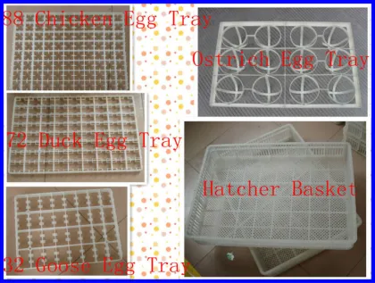 Egg Incubators Direct: Your Source for Hatching Equipment