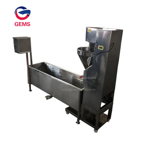 How Are Meatballs Processed Fish Meatball Manufacturing Line