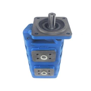 CBG Duplex Oil Pumps Hydraulic Double Gear Pump