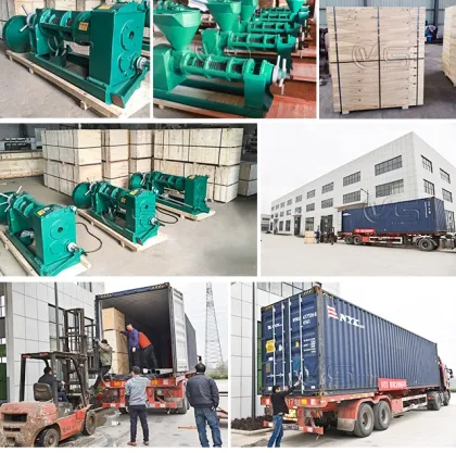 Factory Price Safflower Oil Expeller Presser Machine For Sale