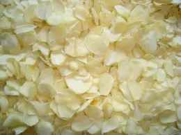 New Crop Food Grade Dehydrated Garlic Sliced