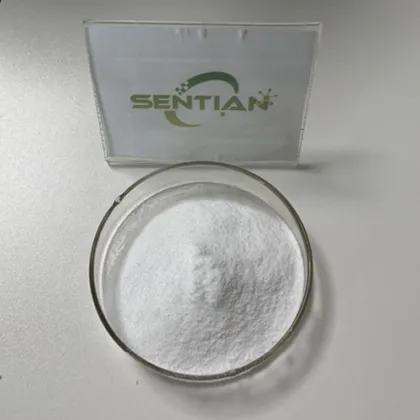 High-Purity Andrographolide 98% for Immune Formulas