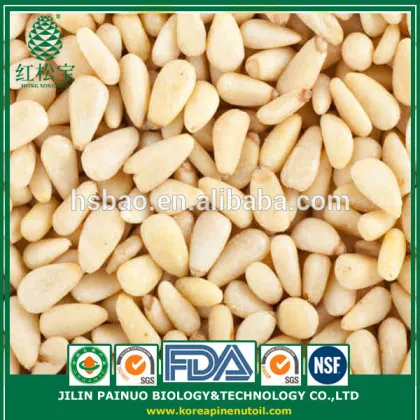 100% Wild Harvest Organic Precious Korean Pine Nut Kernels