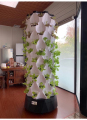 Hệ thống Aeroponic Strawberry