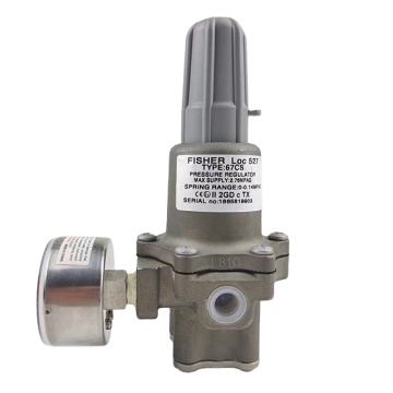 Stainless Steel Pressure Regulator - Fisher 67CS 1/4 NPT - Stand Alone Type