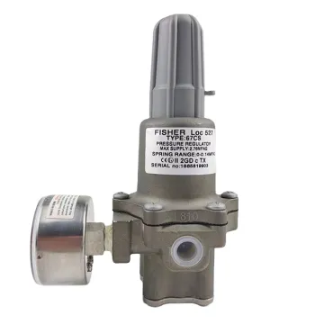 Stainless Steel Pressure Regulator - Fisher 67CS 1/4 NPT - Stand Alone Type